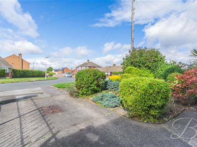 Picture 28